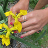 Duplo - 